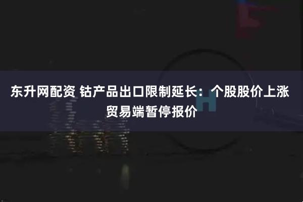 东升网配资 钴产品出口限制延长：个股股价上涨 贸易端暂停报价