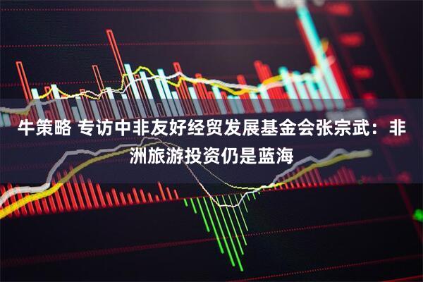 牛策略 专访中非友好经贸发展基金会张宗武：非洲旅游投资仍是蓝海