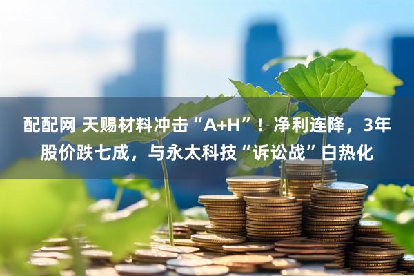 配配网 天赐材料冲击“A+H”！净利连降，3年股价跌七成，与永太科技“诉讼战”白热化