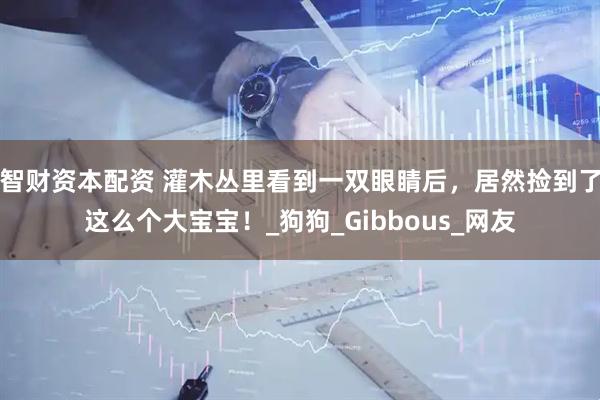 智财资本配资 灌木丛里看到一双眼睛后，居然捡到了这么个大宝宝！_狗狗_Gibbous_网友
