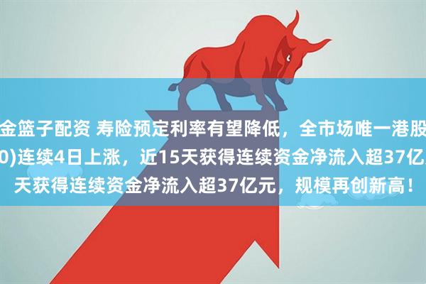 金篮子配资 寿险预定利率有望降低，全市场唯一港股通非银ETF(513750)连续4日上涨，近15天获得连续资金净流入超37亿元，规模再创新高！