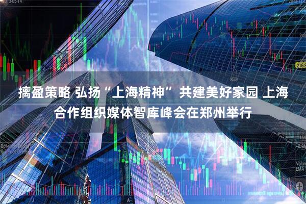 摛盈策略 弘扬“上海精神” 共建美好家园 上海合作组织媒体智库峰会在郑州举行