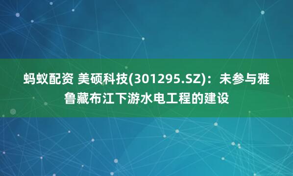 蚂蚁配资 美硕科技(301295.SZ)：未参与雅鲁藏布江下游水电工程的建设