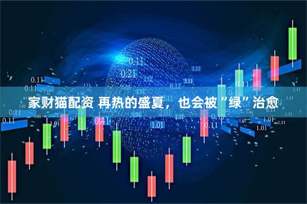 家财猫配资 再热的盛夏，也会被“绿”治愈